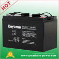 High Capacity UPS Battery AGM Battery SMF Battery 120ah 12V